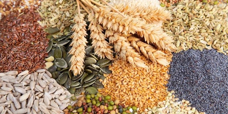 Відділ визначення посівних якостей насіння і товарних якостей садивного матеріалу та якості зерна
